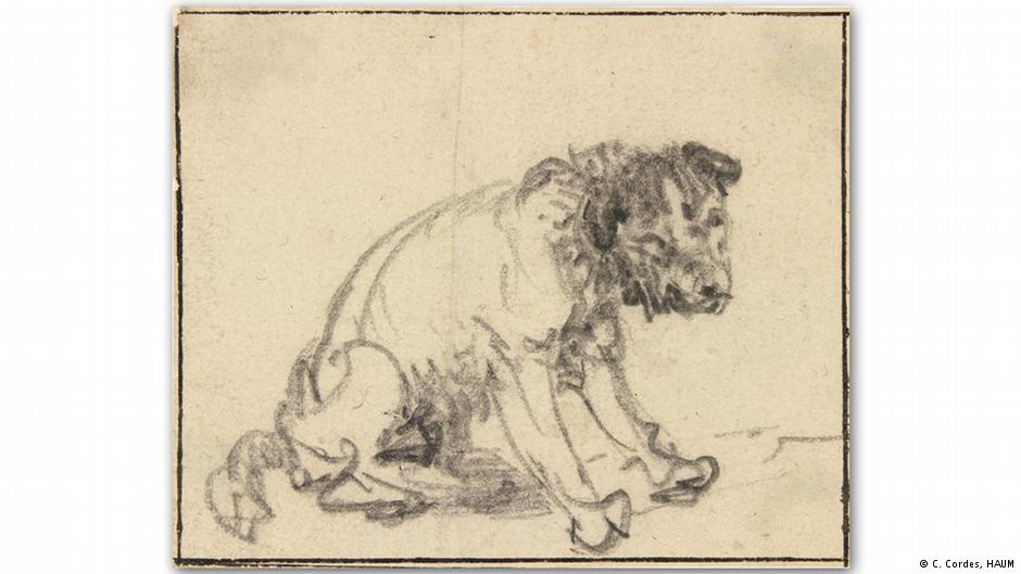 German museum has had a Rembrandt for 250 years not knowing about the treasure in disguise of the Braunschweig terrier