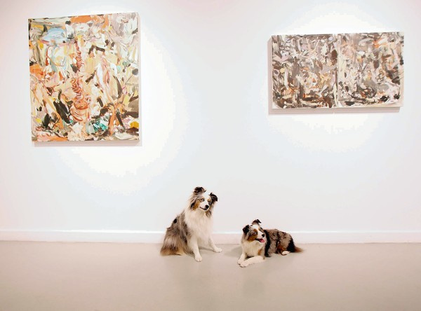 «Великолепное ничто» - выставка современной американской  абстракционистки Шери Франссен в Сан-Франциско плюс обзор ее «ускользающих» картин