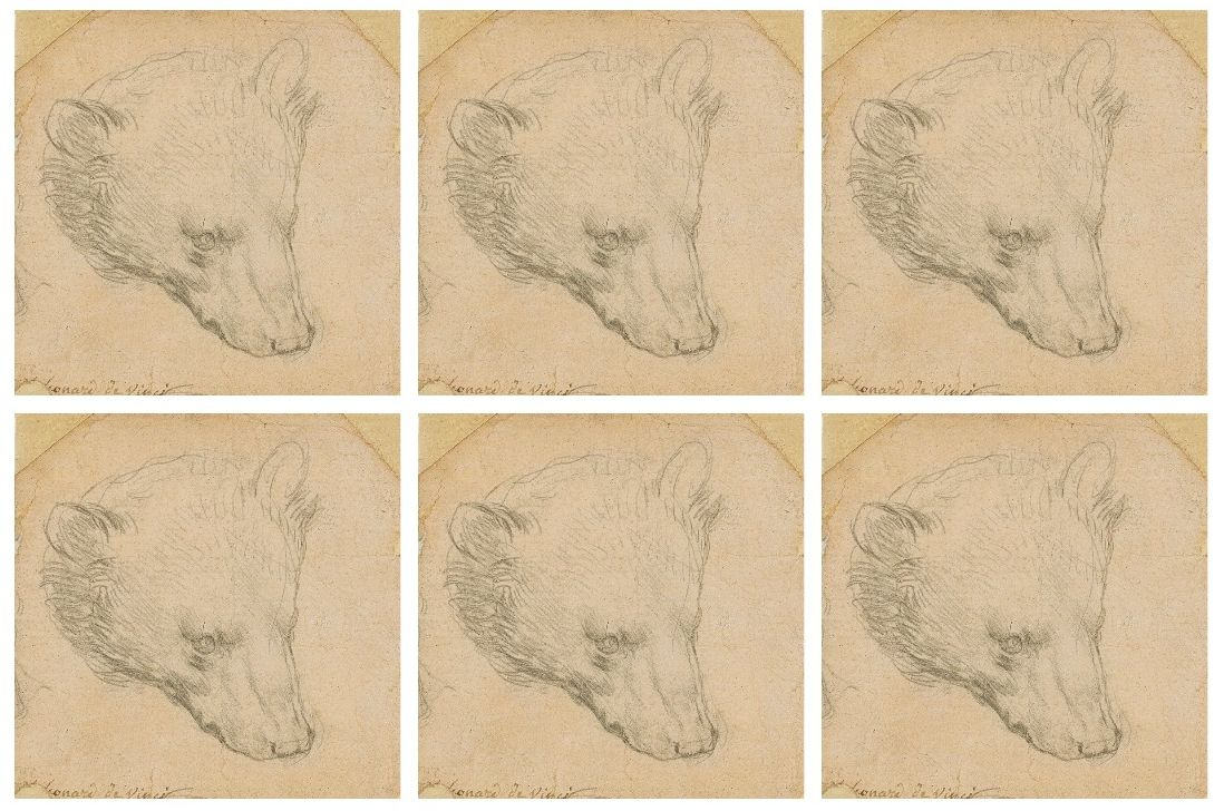 Крошечный медведь да Винчи оценён в $17 млн и выставлен на аукцион. Возможно, он "родственник" горностая со знаменитого портрета (обновлено)