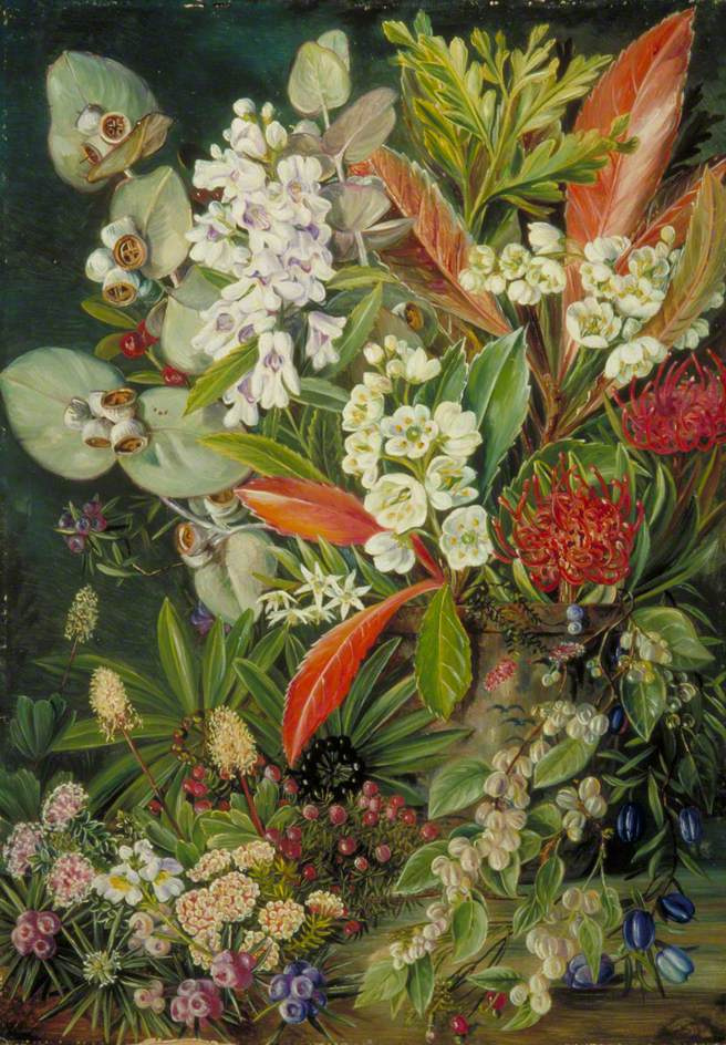 Марианна Норт. Собрание цветов горы Веллингтон, Тасмания