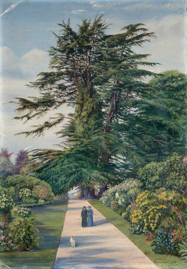 Марианна Норт. Кедровая аллея, сады Олдерли, Глостершир, Англия