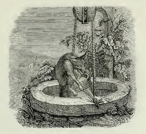 Волк и Лиса. Иллюстрации к басням Жана де Лафонтена