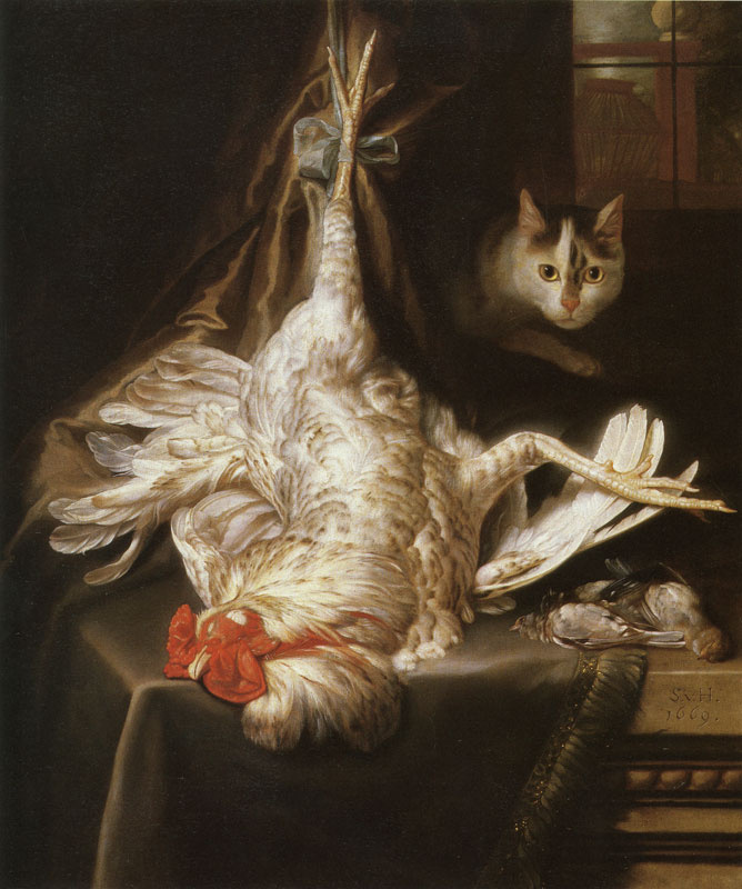 Самюэл ван Хогстратен. Натюрморт с котом и битой птицей