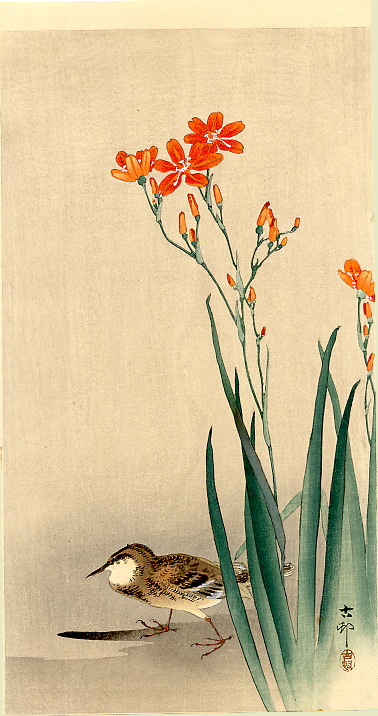 Охара Косон. Орхидеи