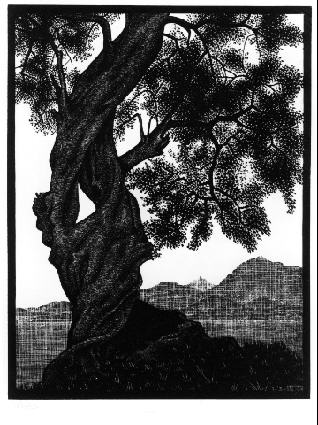 Мауриц Корнелис Эшер. Старое оливковое дерево, Корсика