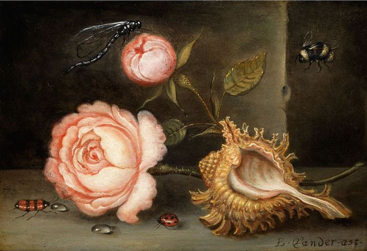 Балтазар ван дер Аст. Натюрморт с розой, раковиной и насекомыми