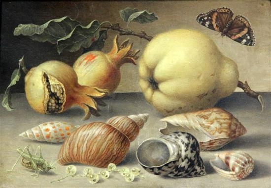 Балтазар ван дер Аст. Фрукты, раковины и насекомые на каменном столе