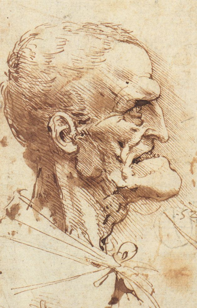 Леонардо да Винчи. Гротескный профиль