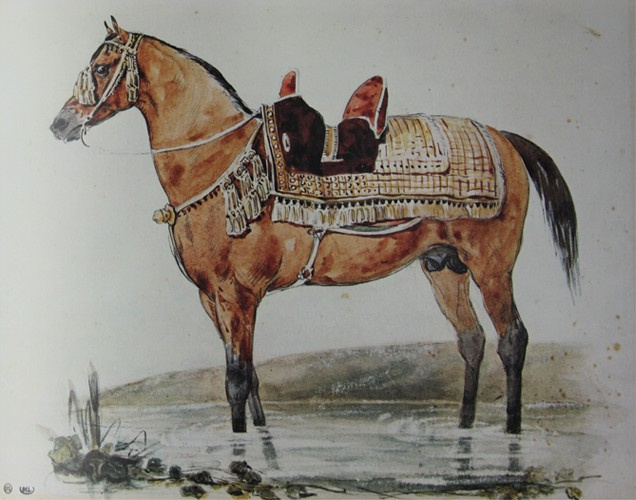Теодор Жерико. Арабский конь под седлом на мелководье