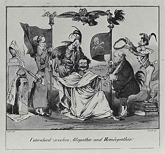 Адольф фон Менцель. Сатира на спор Аллопатии с Гомеопатией