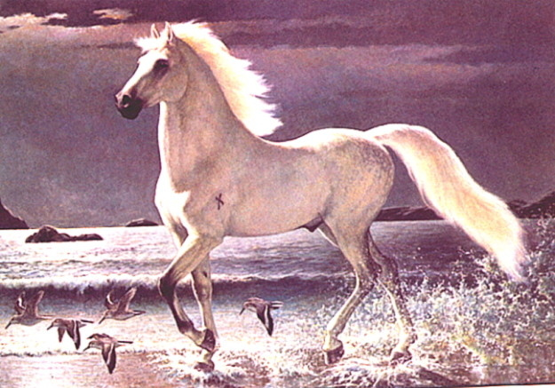 Эдвард Биерли. Белая лошадь