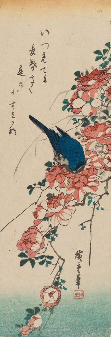 Утагава Хиросигэ. Синяя птица и розы. Серия "Птицы и цветы"