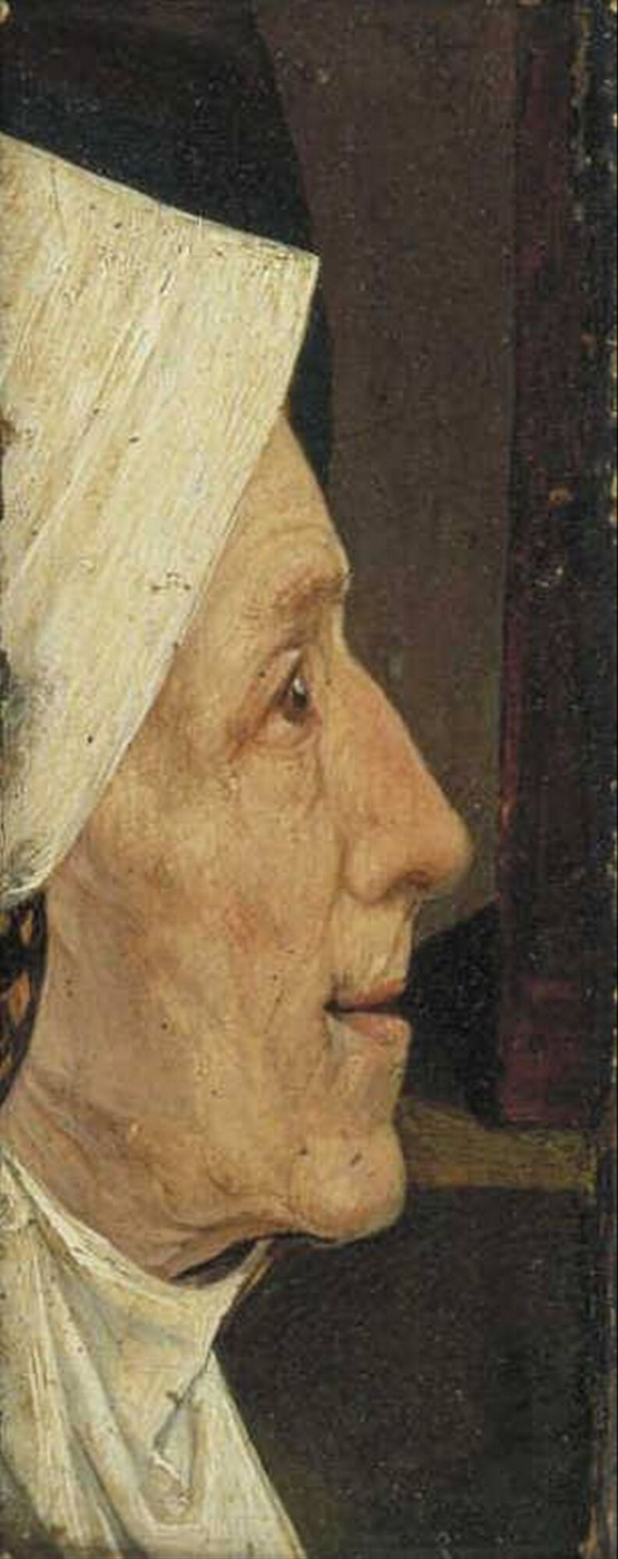 Иероним Босх. Голова женщины (Голова старухи)