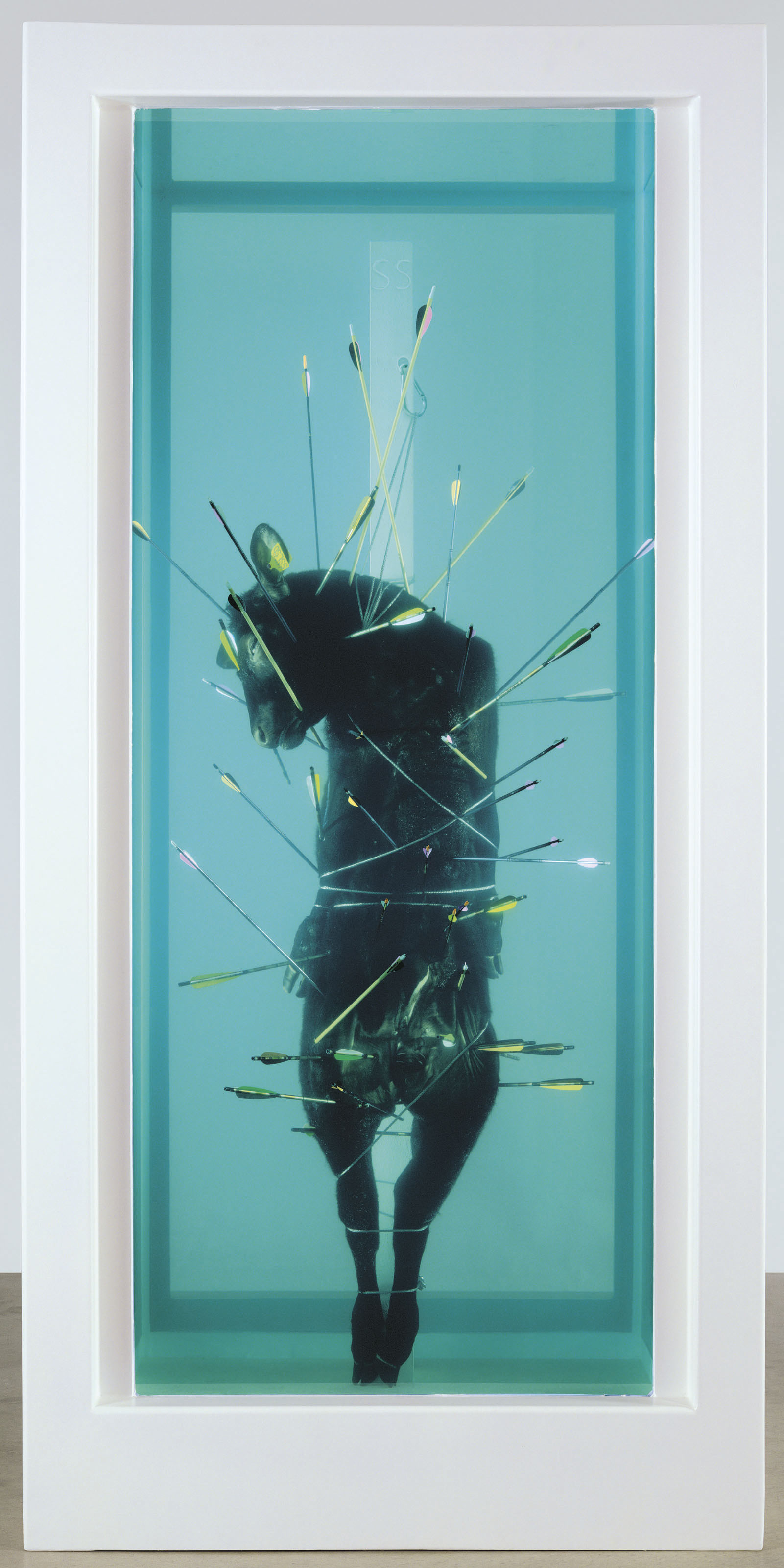 damien hirst 塞巴斯蒂安,精致的痛苦:作品描述