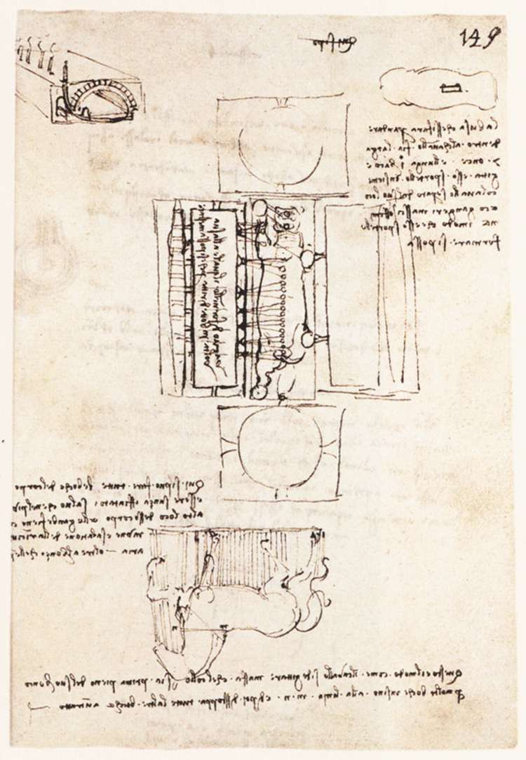 Леонардо да Винчи. Страница из манускрипта с зарисовками монумента Сфорца