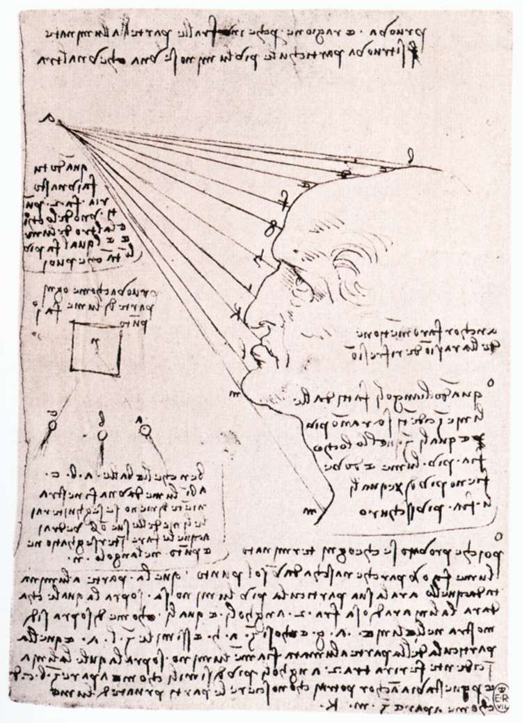 Леонардо да Винчи. Изучение влияния света