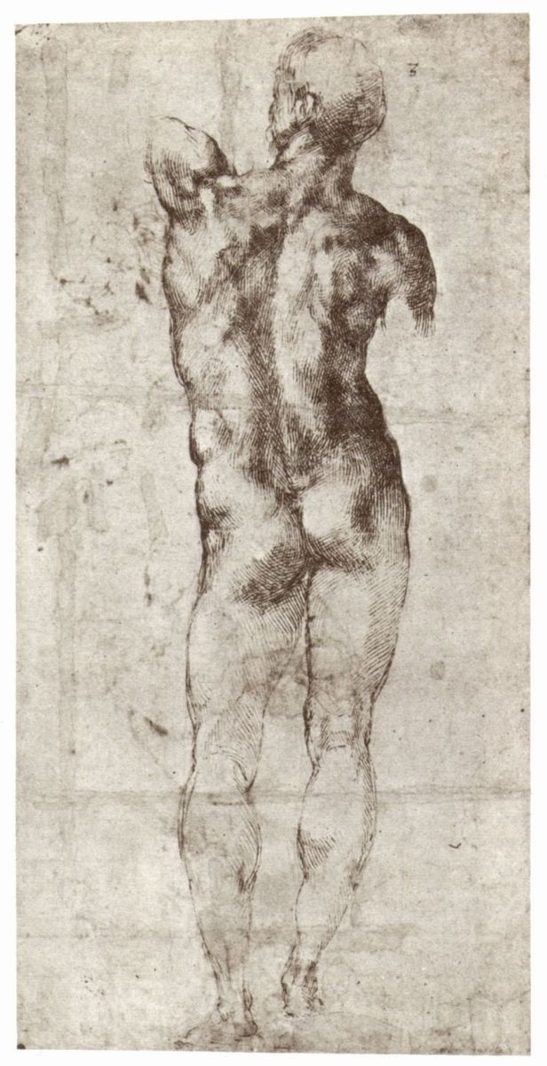 Микеланджело Буонарроти. Стоящий обнаженный, вид со спины