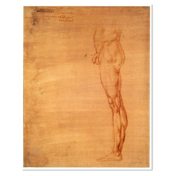 Леонардо да Винчи. Живот и ноги мужчины