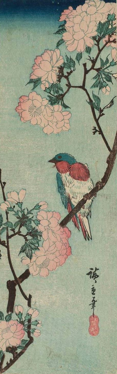 Птица на усыпанной цветами вишневой ветке. Серия "Птицы и цветы"