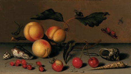 Балтазар ван дер Аст. Абрикосы, ягоды, раковины и насекомые