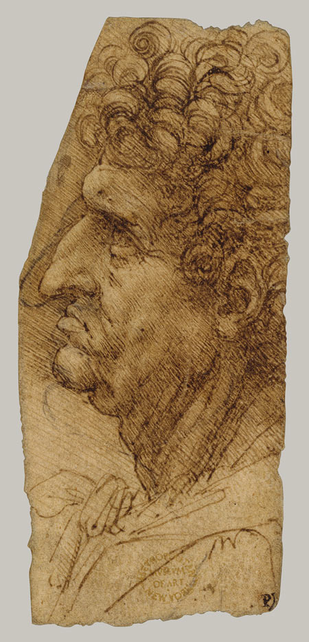 Леонардо да Винчи. Голова мужчины в профиль