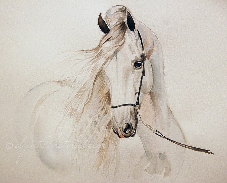 Olga Itina. Andalusian horse