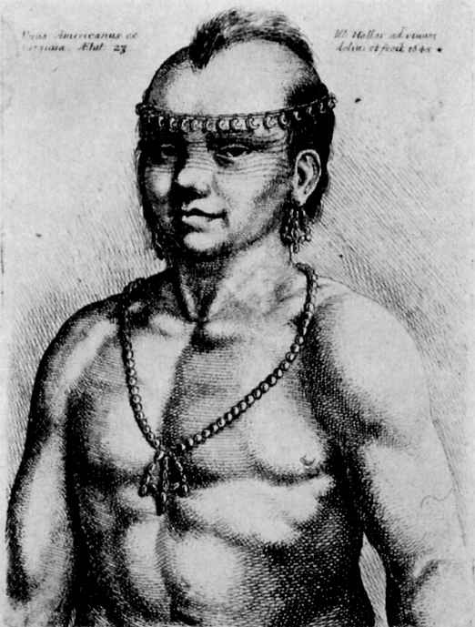 Вацлав Холлар. Портрет индейца из Вирджинии