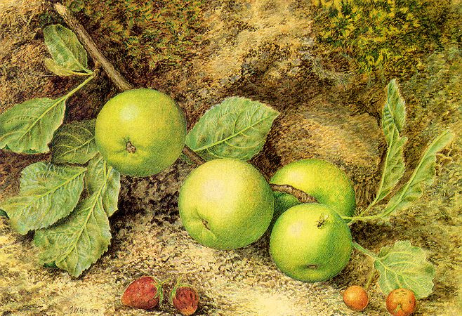 Джон Уильям Хилл. Зеленые яблоки