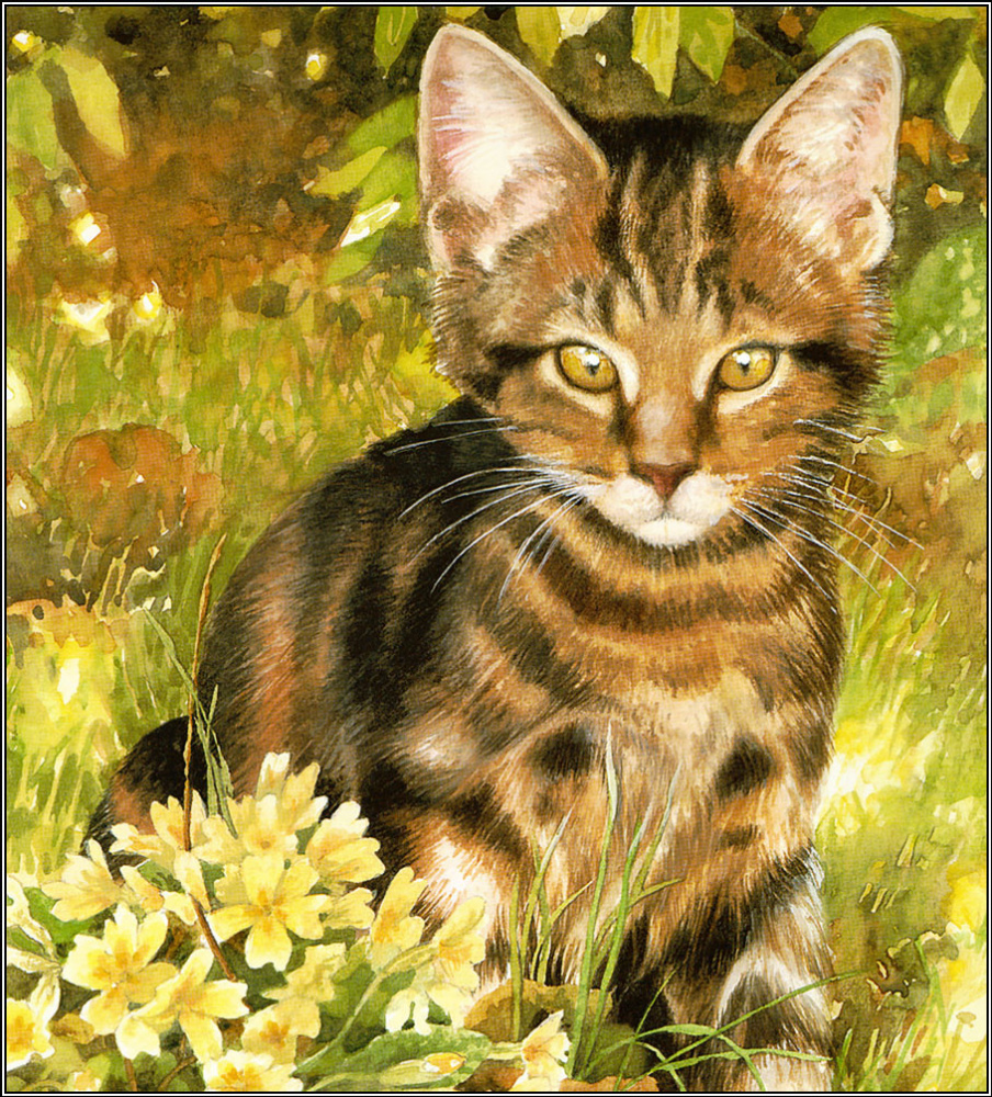 Крисси Снеллинг. Котенок в траве