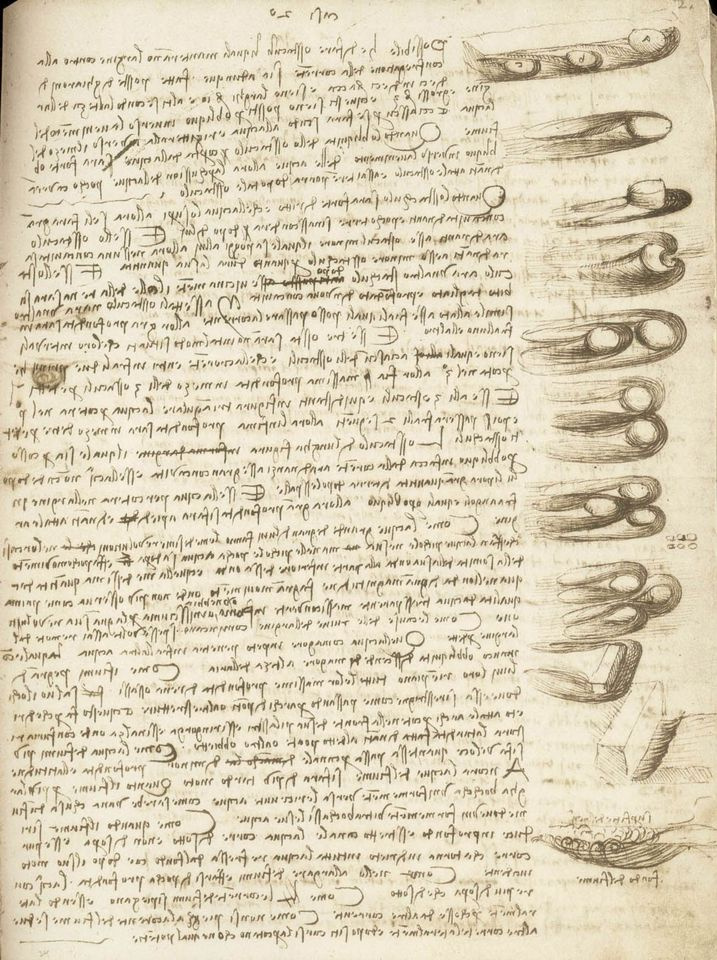 Леонардо да Винчи. Страницы из Кодекса Лестер