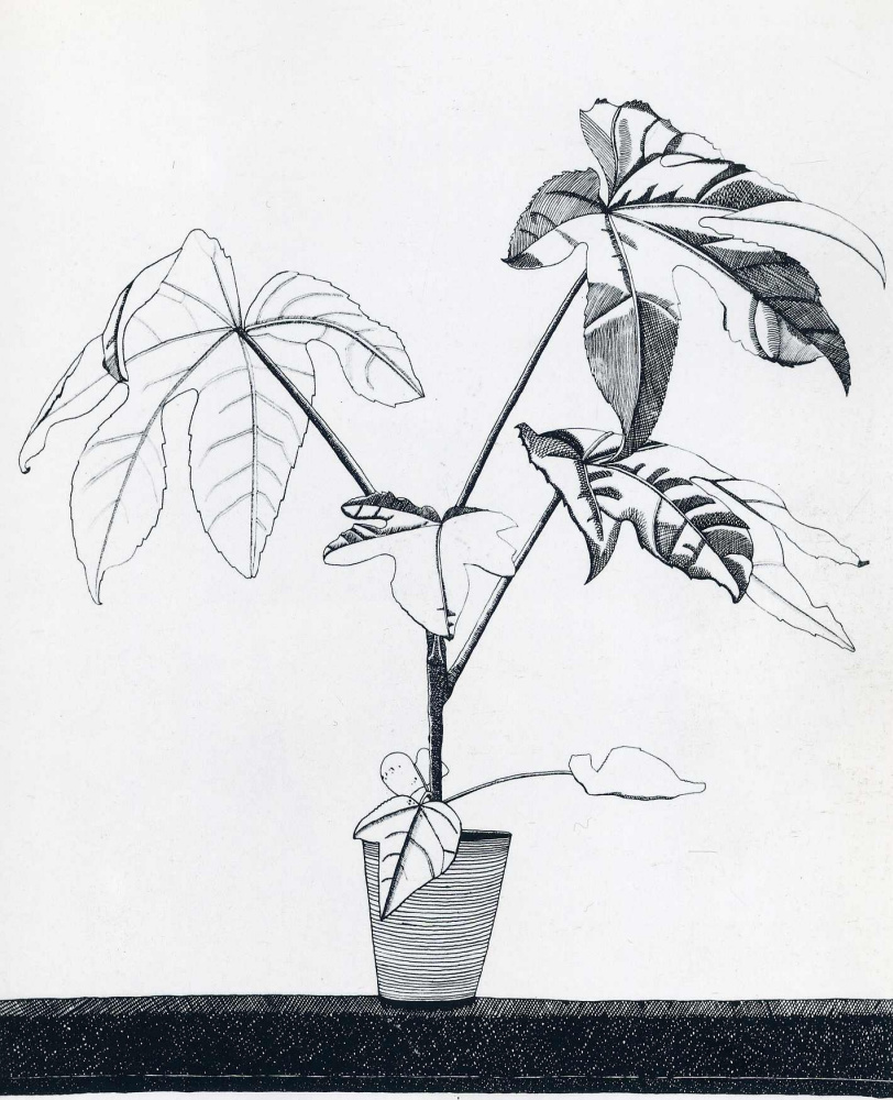 Люсьен Фрейд. Растение