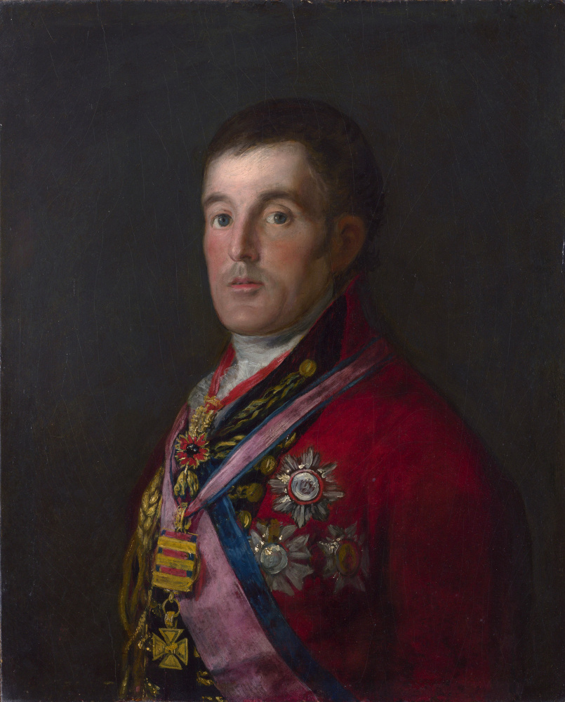 Франсиско Гойя. Портрет герцога Веллингтона
