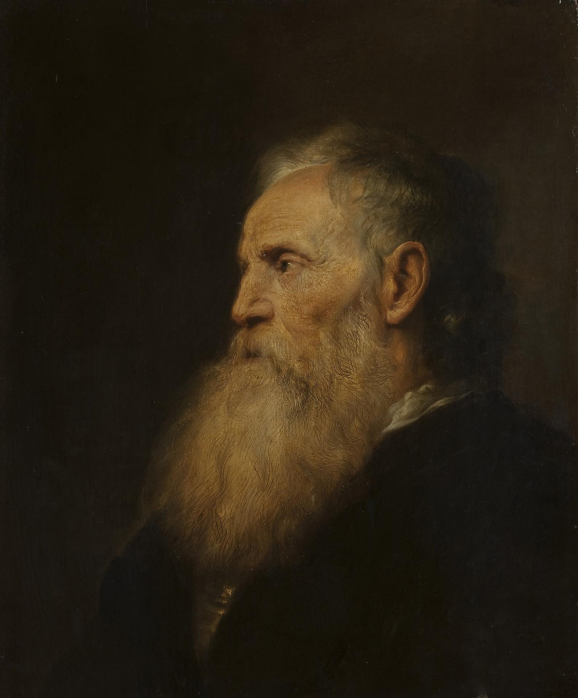Ян Ливенс. Портрет старика с бородой