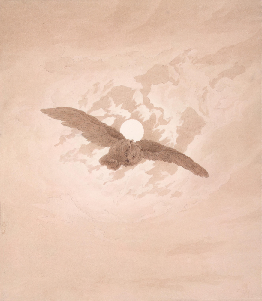 Каспар Давид Фридрих. Летящая сова на фоне лунного неба
