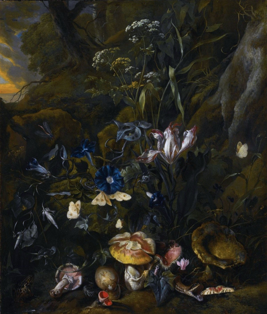 Отто Марсеус ван Скрик. Лесной натюрморт с цветами, грибами и бабочками