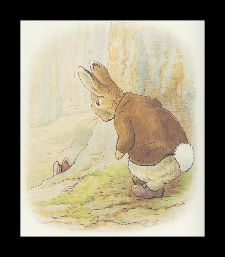 Бенджамин и Кролик Питер Банни. Сказка о кролике Питере 24