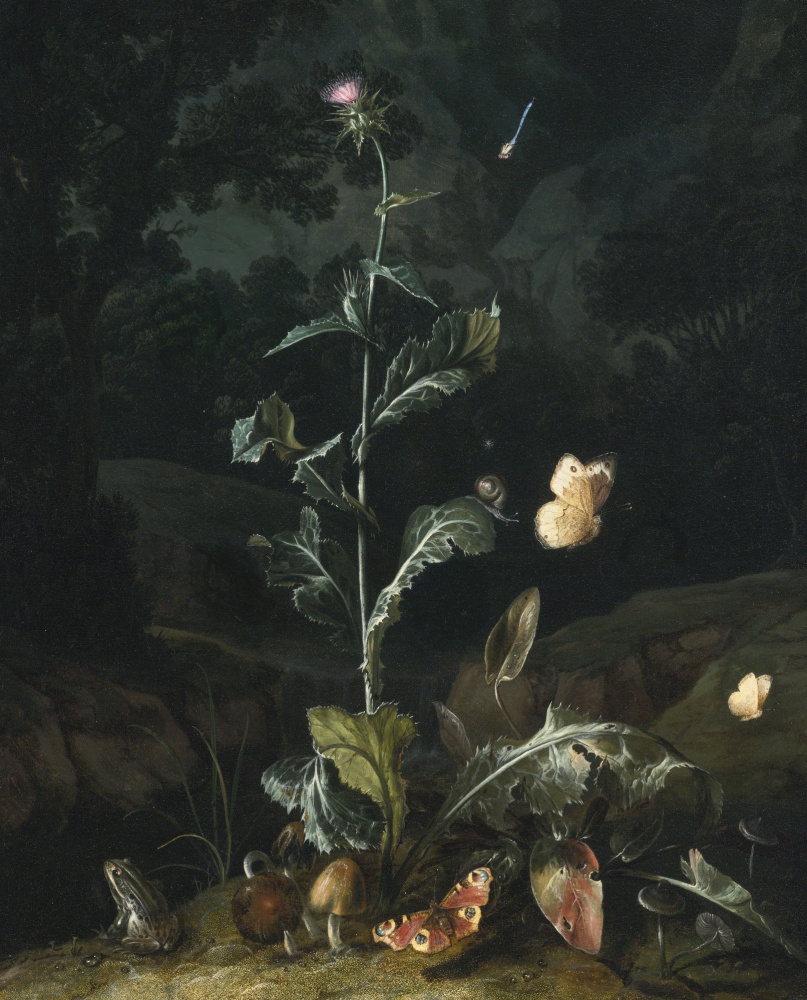Отто Марсеус ван Скрик. Ночной лесной натюрморт с чертополохом, бабочками, грибами и лягушкой