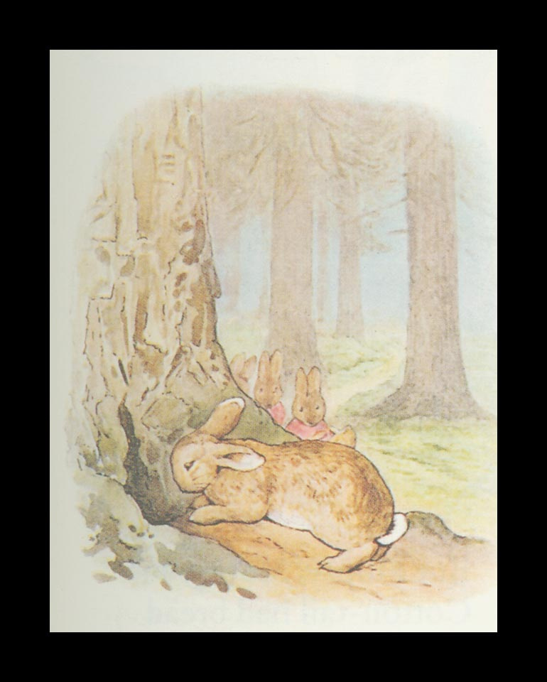 Бенджамин и Кролик Питер Банни. Сказка о кролике Питере 38
