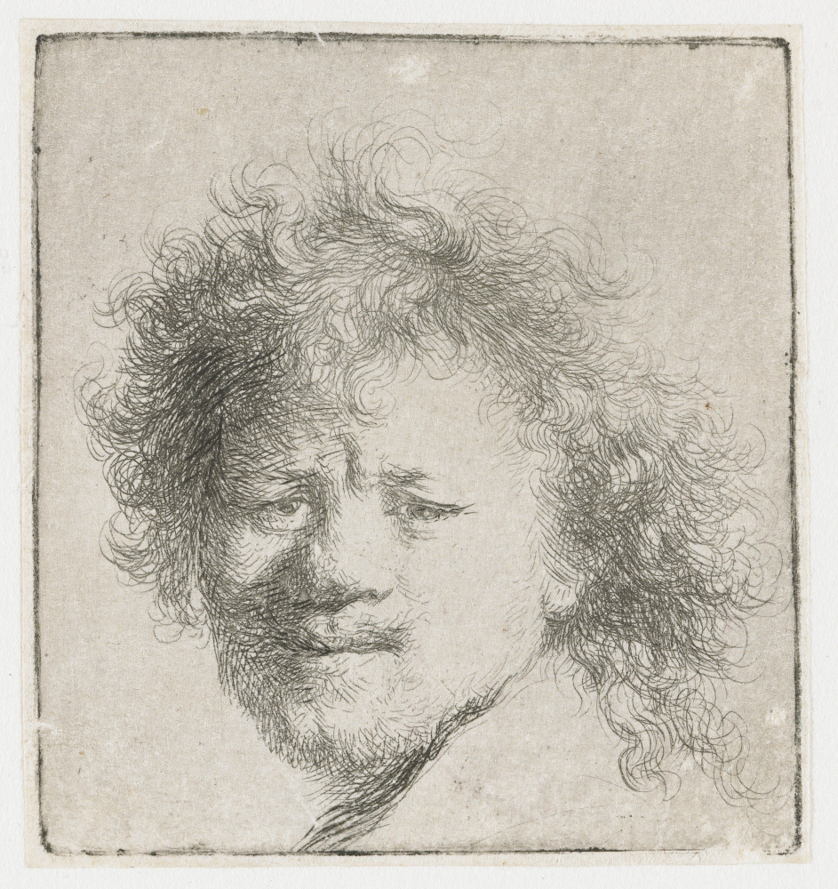Рембрандт Харменс ван Рейн. Автопортрет с растрёпанными волосами