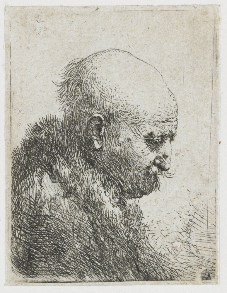 Рембрандт Харменс ван Рейн. Лысый старик в правый профиль