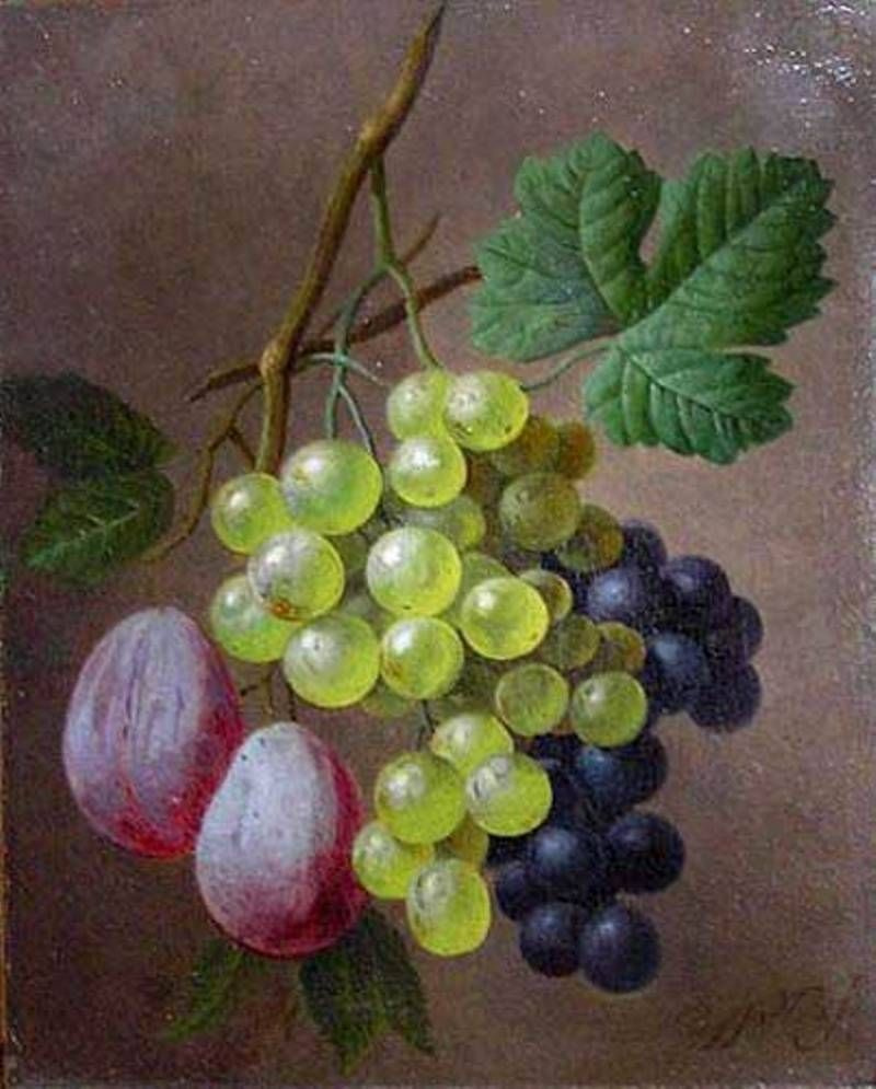 Георг Якоб Иоганн ван Ос. Натюрморт с виноградом и сливами
