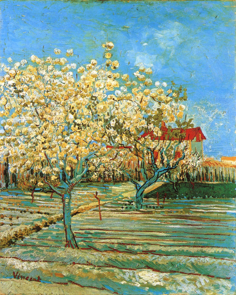 Винсент Ван Гог. Фруктовый сад в цвету