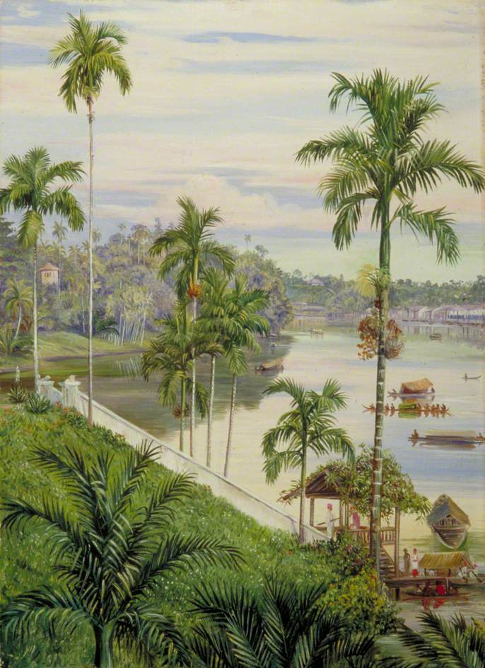 Марианна Норт. Вид на реку, Саравак, Борнео