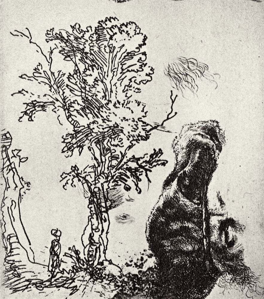 Рембрандт Харменс ван Рейн. Лист с деревом и мужским портретом