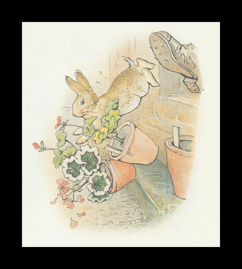 Бенджамин и Кролик Питер Банни. Сказка о кролике Питере 31