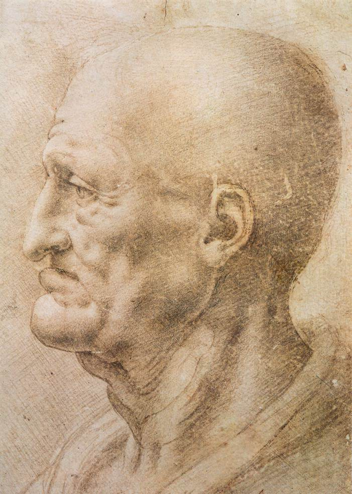 Леонардо да Винчи. Профиль пожилого мужчины
