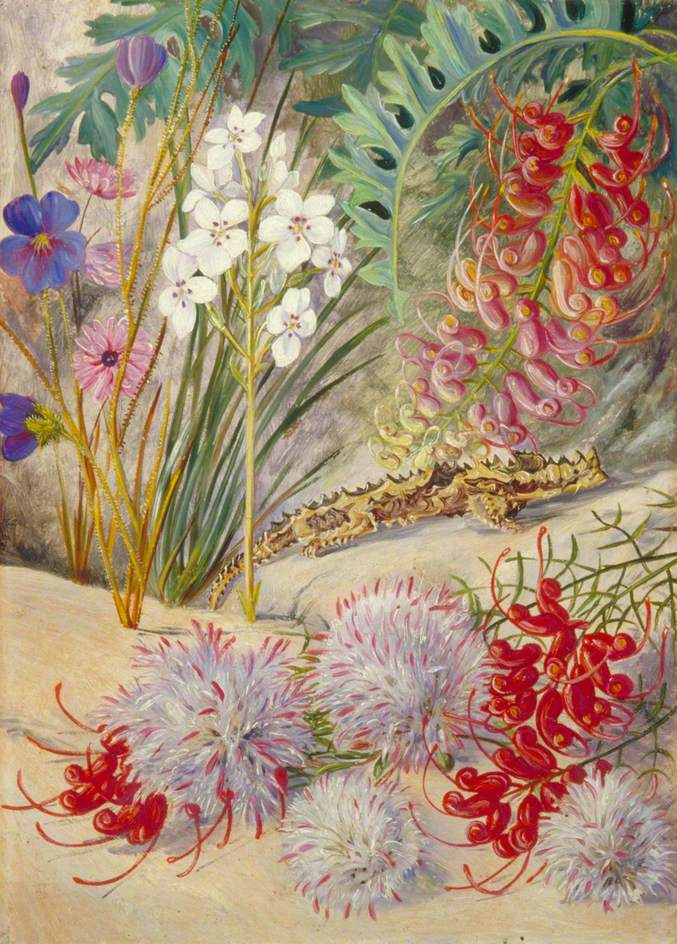 Марианна Норт. Цветы на песке и ящерица. Экзотический пейзаж Западной Австралии