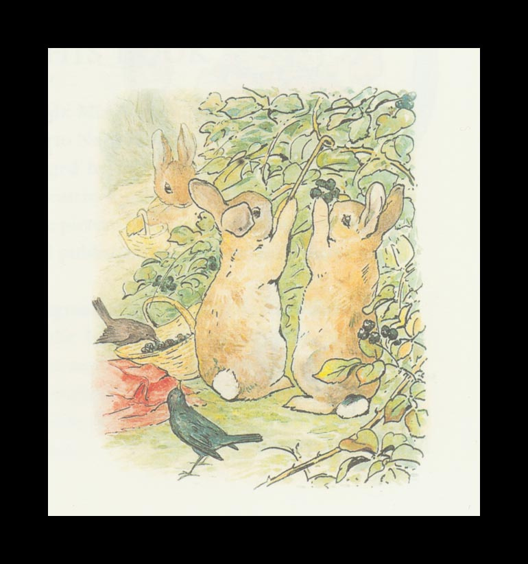 Бенджамин и Кролик Питер Банни. Сказка о кролике Питере 40