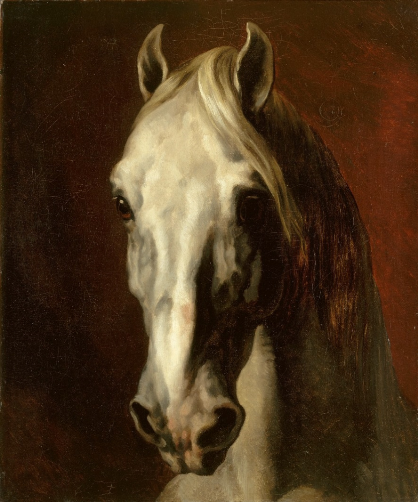 Теодор Жерико. Голова белой лошади