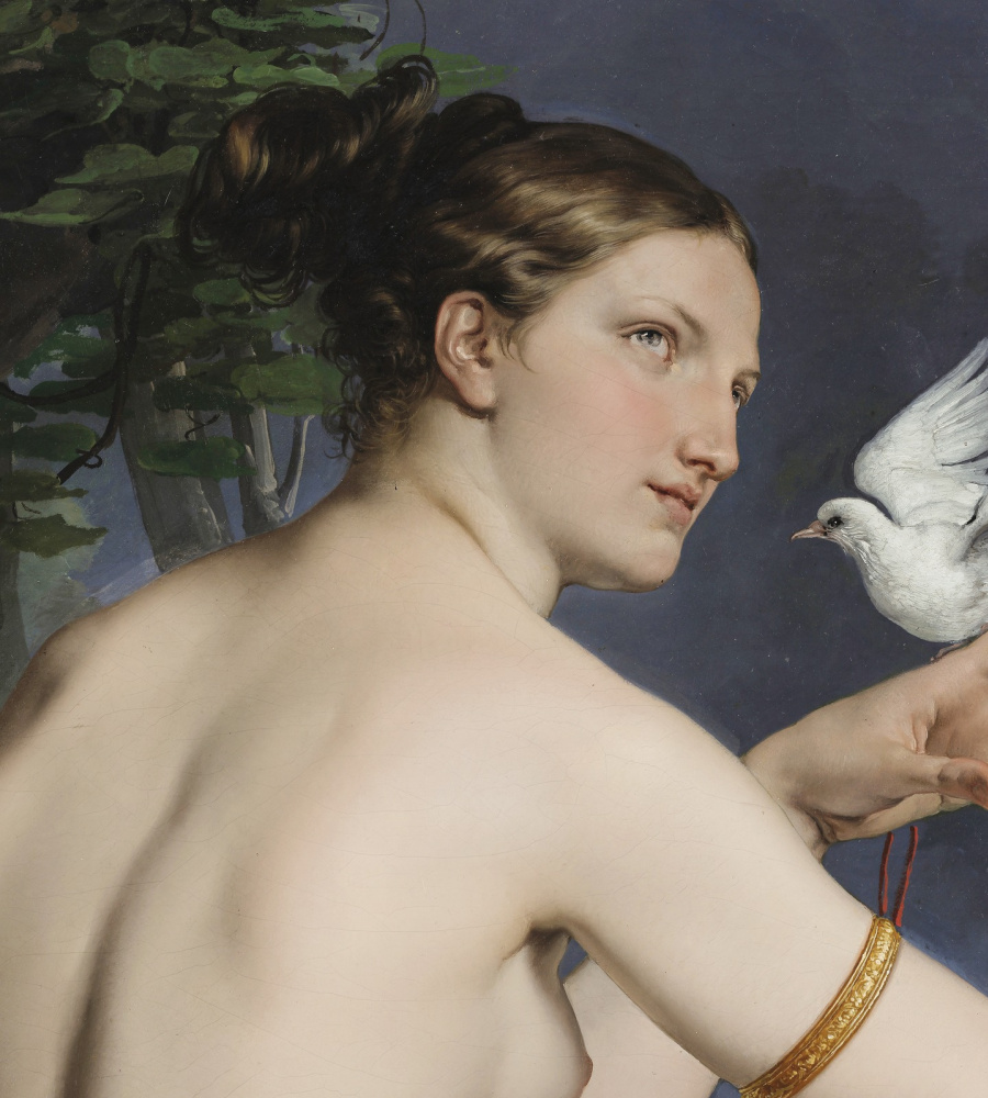 Франческо Айец. Венера с двумя голубями (Портрет балерины Карлотты Шабер). Фрагмент